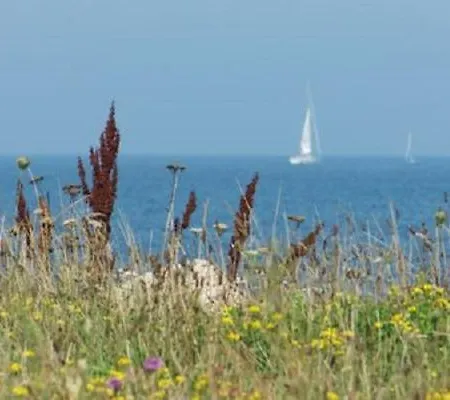 Wasserhaus Yellow Submarine Olpenitz